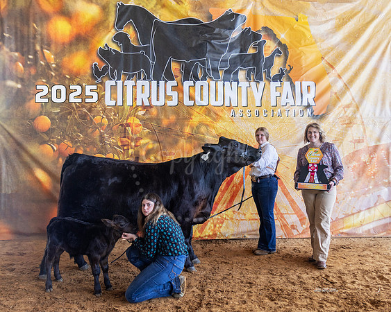 Resv Grand Champion