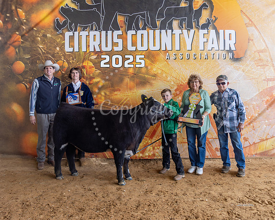 Resv Grand Champion