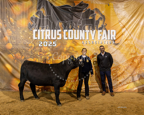 Steers #40