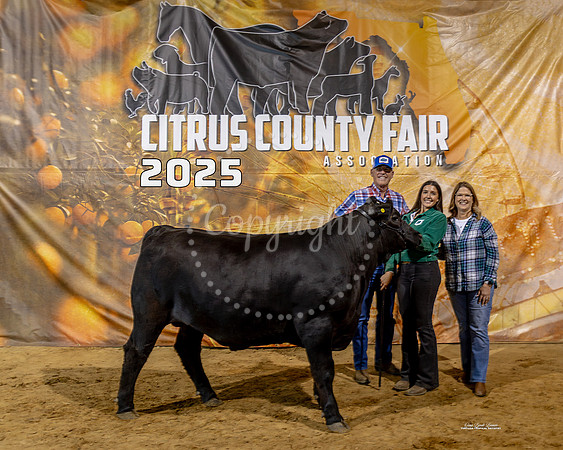 Steers #37