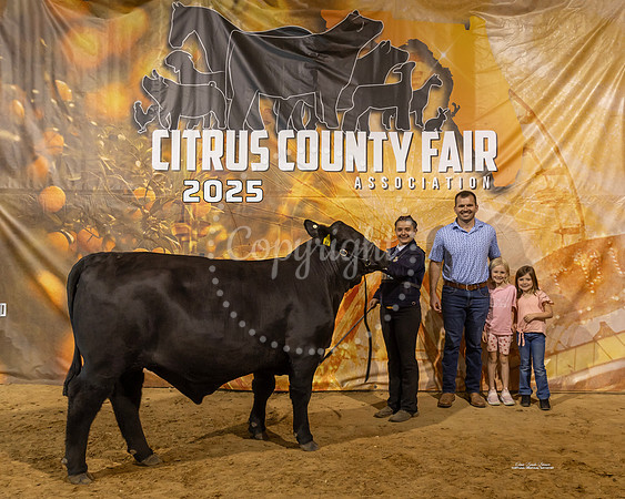 Steers #52