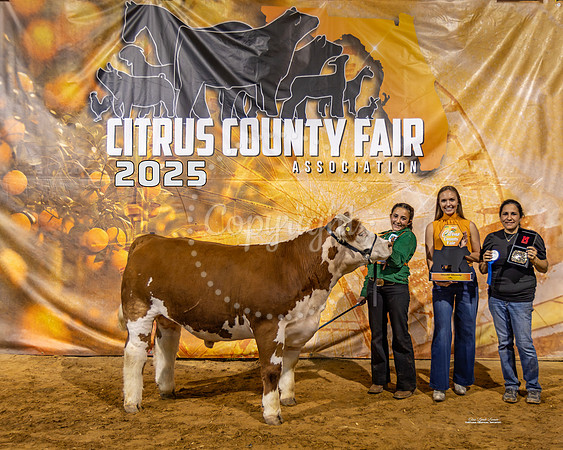 Steer Int Showmanship