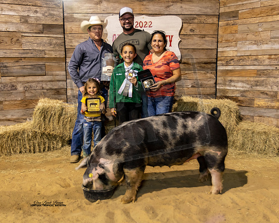 Swine Show Grand Champion