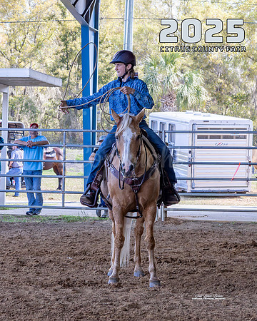 Horses 9