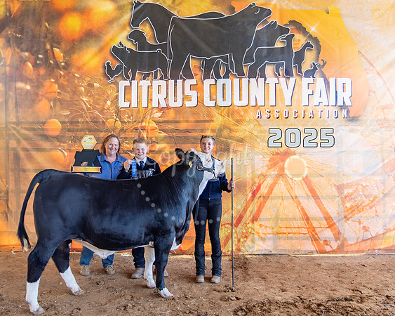 Steer Class 1