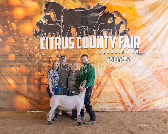 #106 Market Lambs
