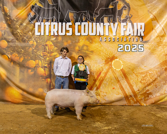 Swine Class 4