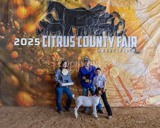 Market Goat Resv Grand Champion