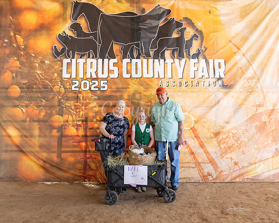 #102 Resv Grand Champion POM Rabbit