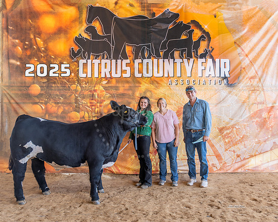Grand Champion Steer