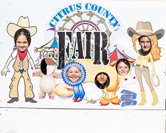 Fair 1