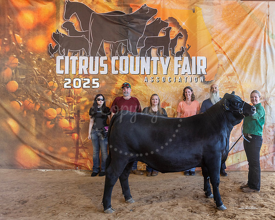 Carcass Grand Champion Steer