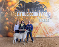 Div Winner Hair Ewe