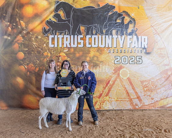 Div Winner Hair Ewe