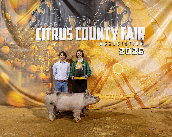 Swine Class 6