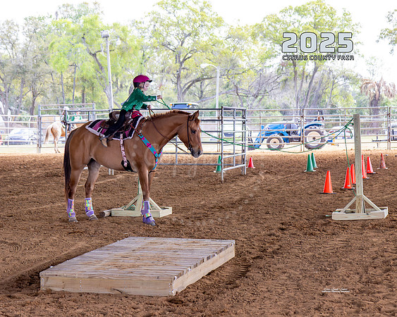 Horses 11