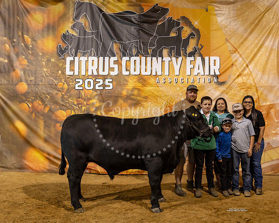 Steers #66