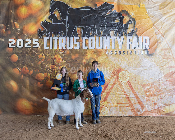 Jr Showmanship