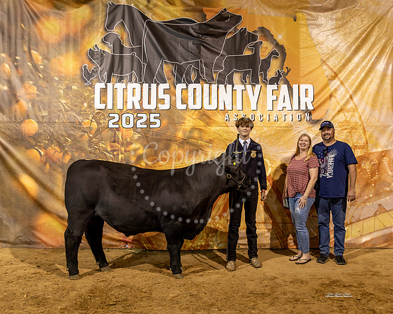 Steers #58