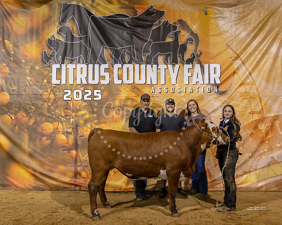 Steers #63