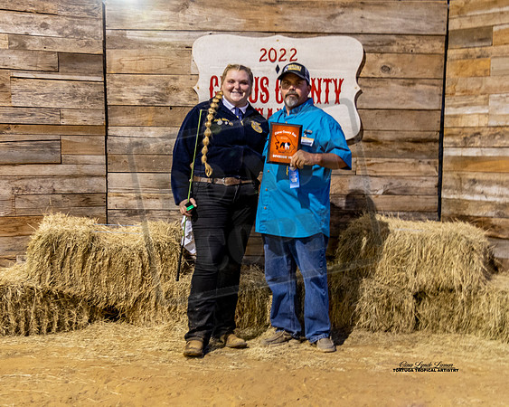 Swine Show Class 8