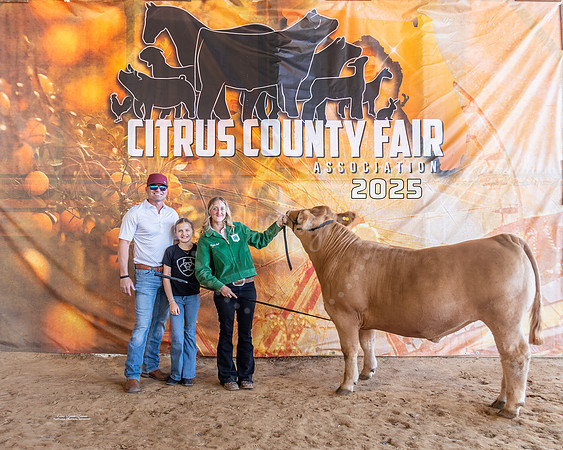 Resv Grand Champion Steer