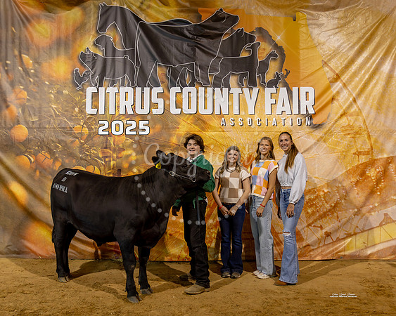 Steers #69