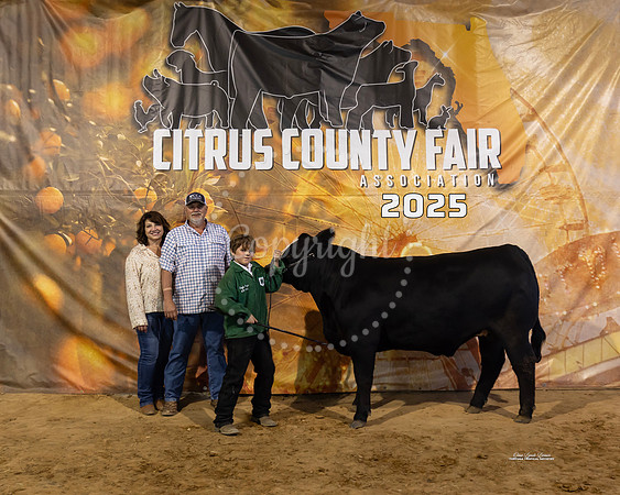 Steers #28