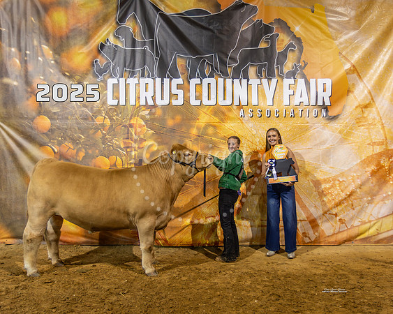 Resv Grand Champion