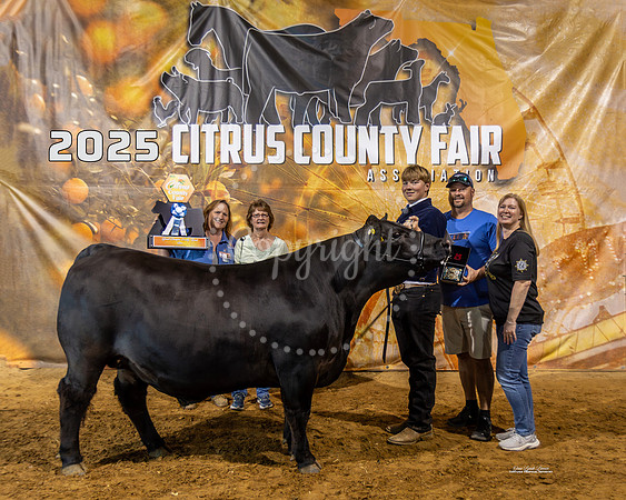 Grand Champion County Bred Photo #2