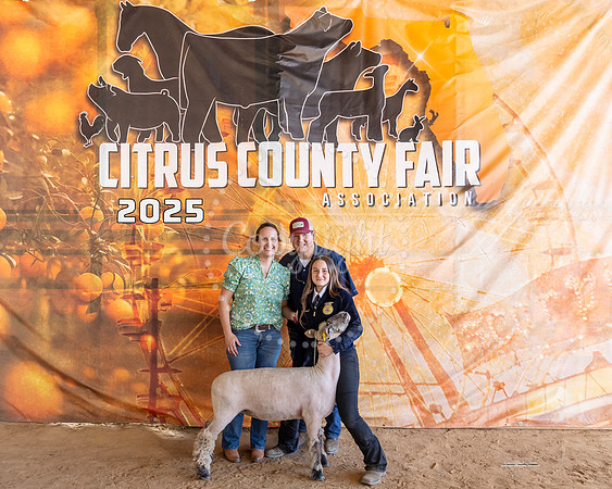#112 Market Lambs