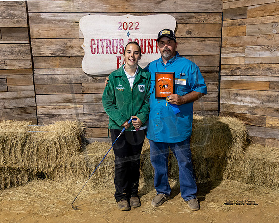Swine Show Class 4