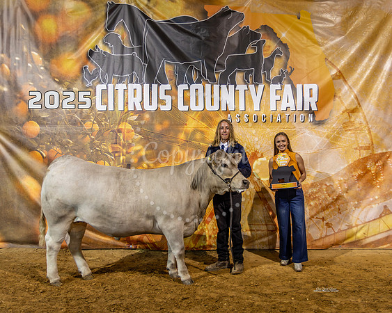 Steer Class 9