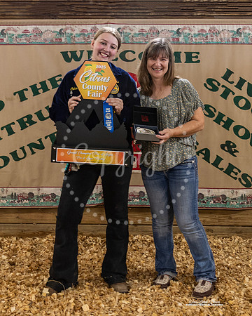 Pen of Layer Poultry Grand Champion