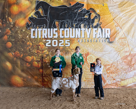 Sr Showmanship