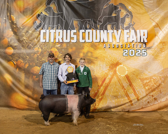 Swine Class 7