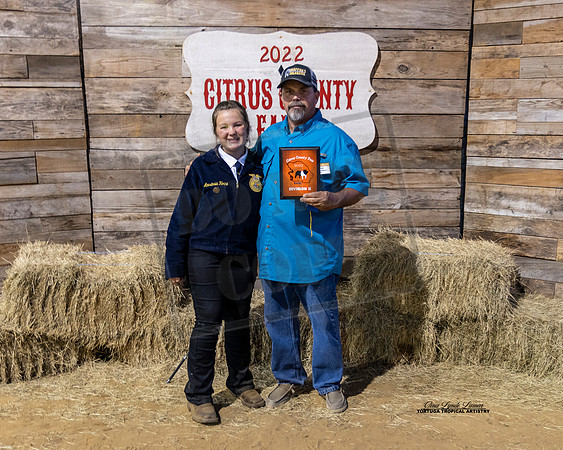 Swine Show Class 2