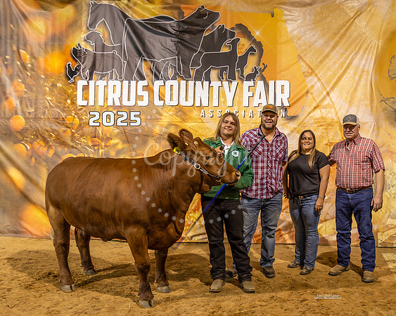 Steers #47