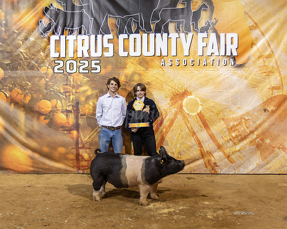 Swine Class 2