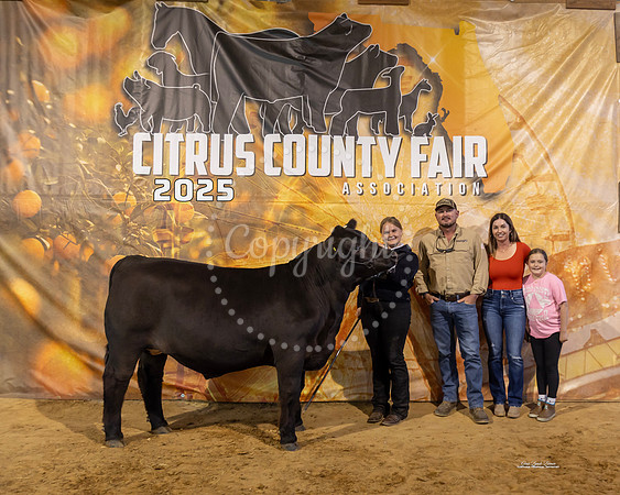 Steers #29