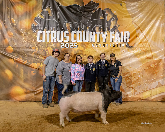 #146 Swine