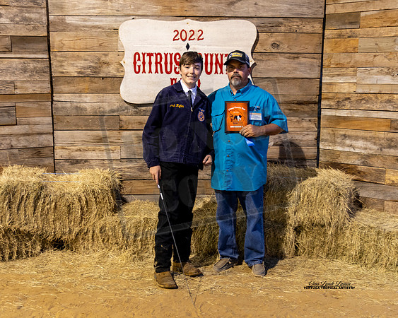Swine Show Class 1
