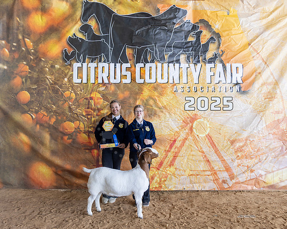 Yearling Breeding Doe Class 5