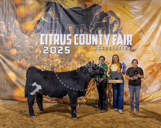 Grand Champion with Buckle