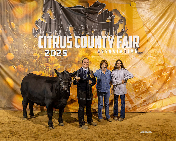 Steers #45