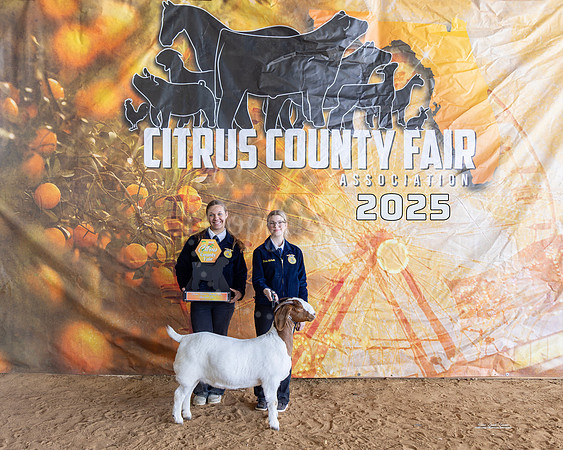 Yearling Doe Champion