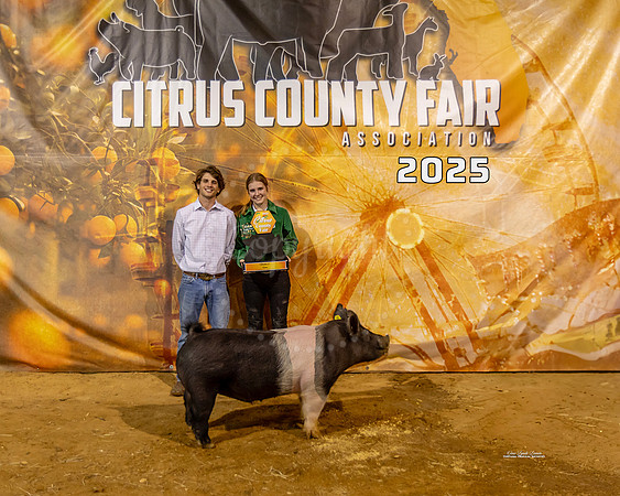 Swine Class 3
