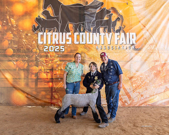 #104 Resv Grand Champion Market Lamb