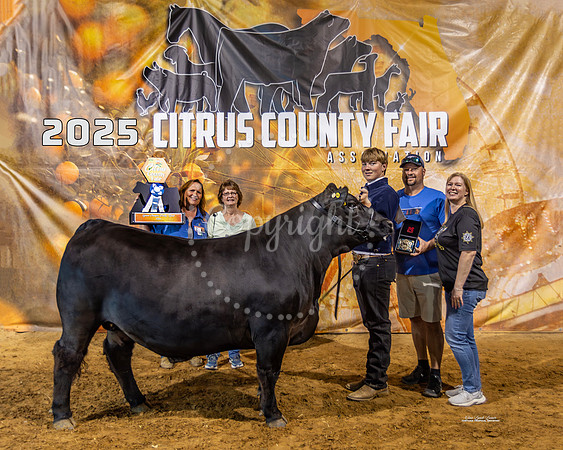 Grand Champion County Bred