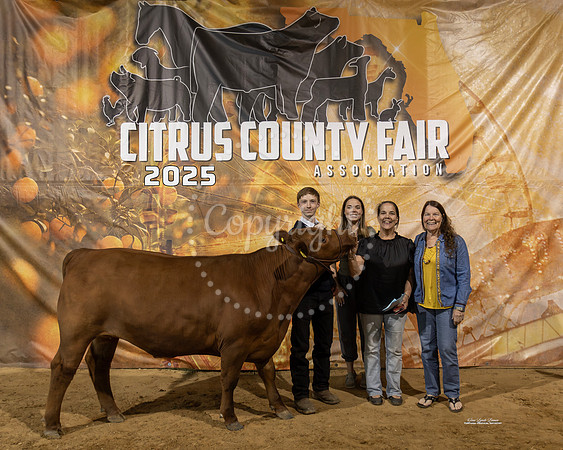 Steers #71